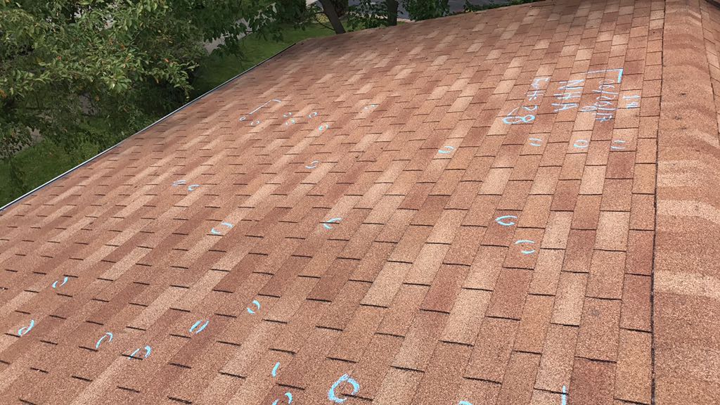 Anotated Roof